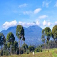 If you are looking any tour packages then Visit Rwanda special Tour Pa