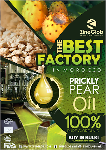 Best Moroccan culinary Argan Oil Production Zinglob Company