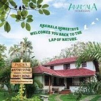 Homestay in Thrissur Kerala  Holiday homes  Anamala Homestays